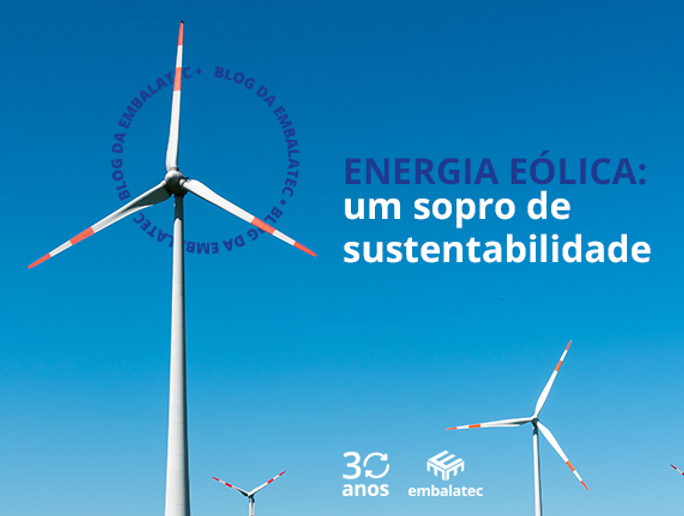 Energia eólica: um sopro de sustentabilidade